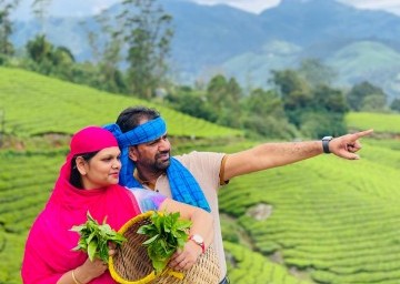 Munnar Tea Garden View 