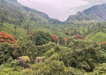 munnar